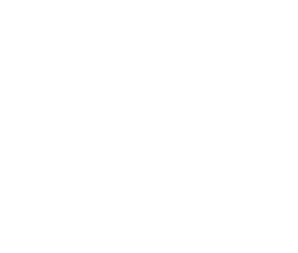 Salvation Site Services logo